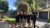 Ecocare Team