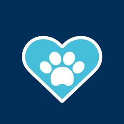 Pet Vets
