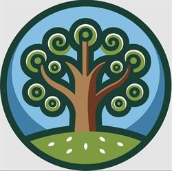 Kauri Seeds Preschool