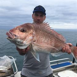 Allenco Marine