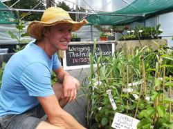 The Fruity Gardener