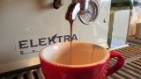 Coffee - Wholesaler