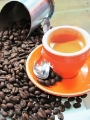 Coffee Beans - NZ Roasted