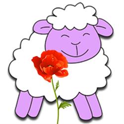 Lambs Preschool Pukekohe