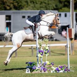 Bushy Park Riding School