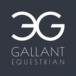 Gallant Equestrian