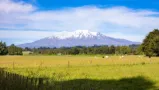 Mt Ruapehu-PKF-Doyles-chartered-accountants-ohakune-office-22-ayr-street-ohakune-4625-063858801
