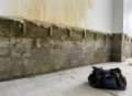 From Mould to Marvelous A Browns Bay Garage Transformation