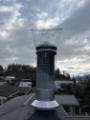 Bird proofing chimney cowl