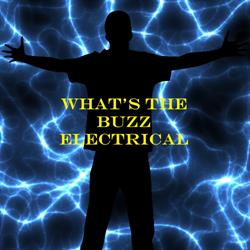 What's the Buzz Electrical