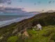 Coastal 2