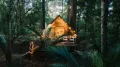 Tree Tent Couples Glamping Escape