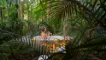 Totara Tree Tent 2
