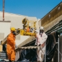 Asbestos super 6 removal