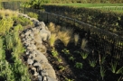 PLANTING AND TURF