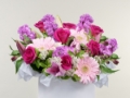 Hibiscus Coast flower delivery