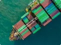 Freight Forwarding Auckland