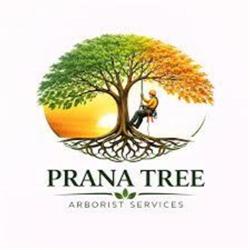 Prana Tree