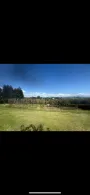 ShelterBelt 2