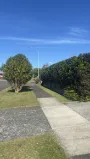 hedge
