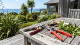 Pruning and Gardening