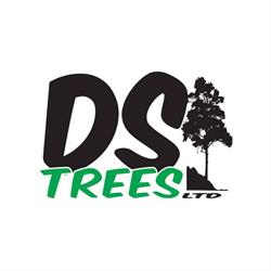 DS TREES LIMITED