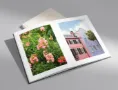 MILK Books