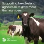 Agriculture-Accountant-PKF-Mid-North-Kerikeri Office-350-Kerikeri-Road-Kerikeri-0230-094077142