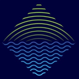 AVNZ