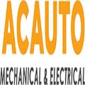 Auto Electrical